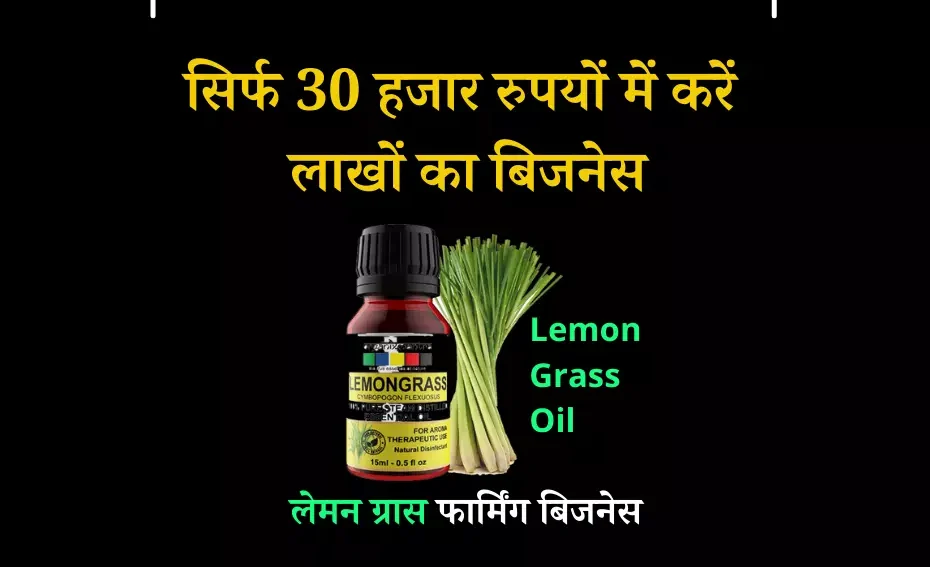 लेमन ग्रास की खेती कैसे करें | How to do Lemon Grass Farming